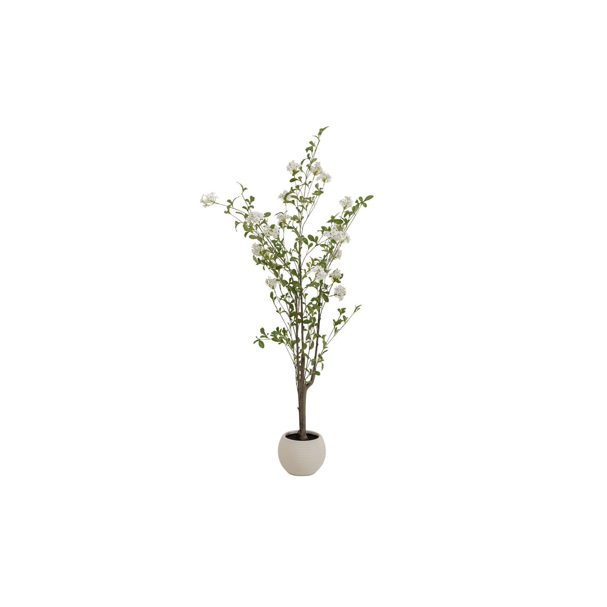 Plante décorative Plumbago 152cm Kare Design