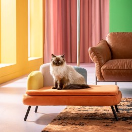 Orange velvet pet bed - Diva - Kare Design