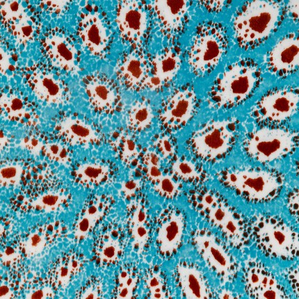 Assiettes Gioia 27cm set de 4 Kare Design