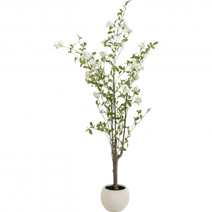 Deco plant Plumbago 152cm Kare Design Deco plant Plumbago 152cm Kare Design