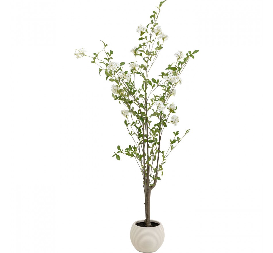 Plante décorative Plumbago 152cm Kare Design