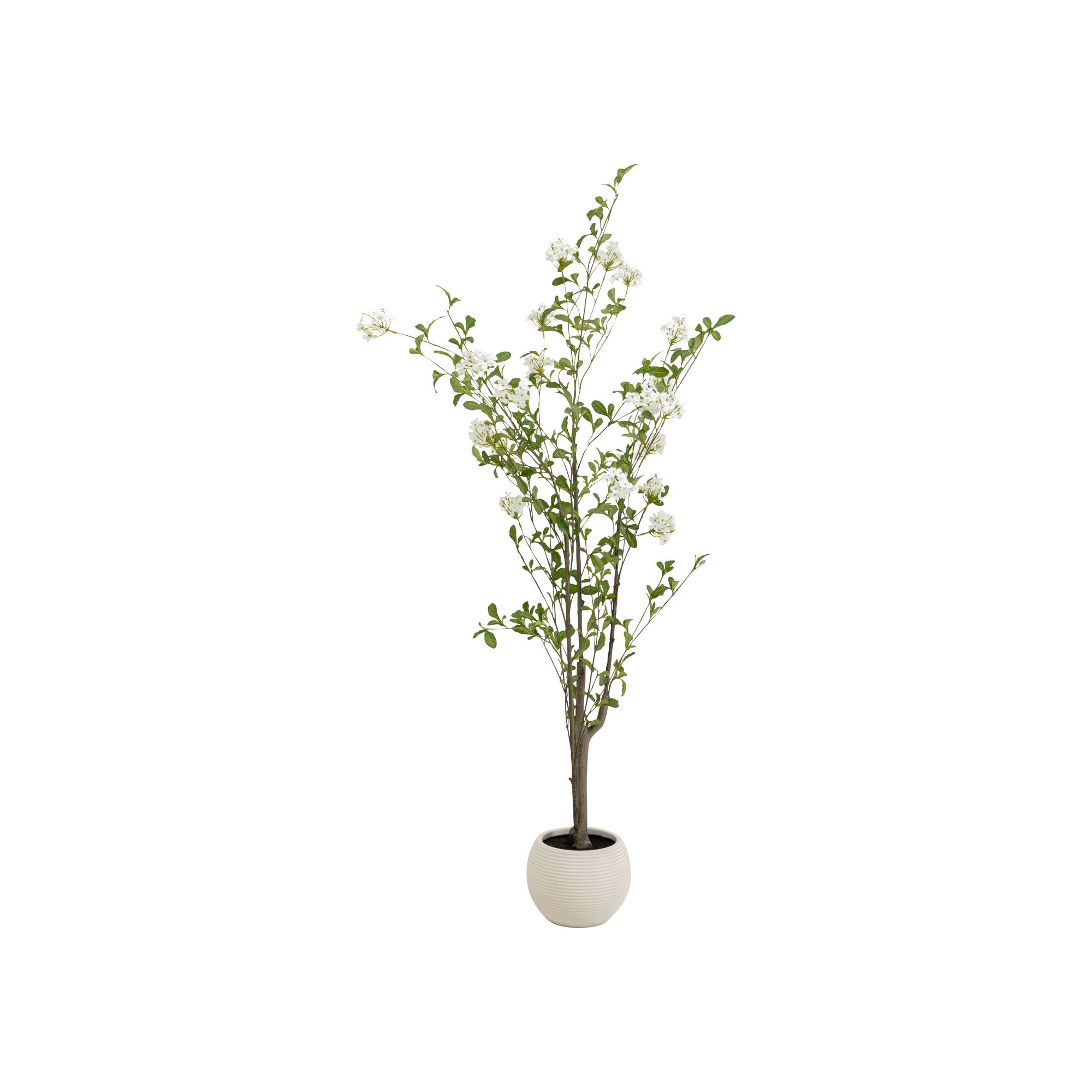 Deco plant Plumbago 152cm Kare Design
