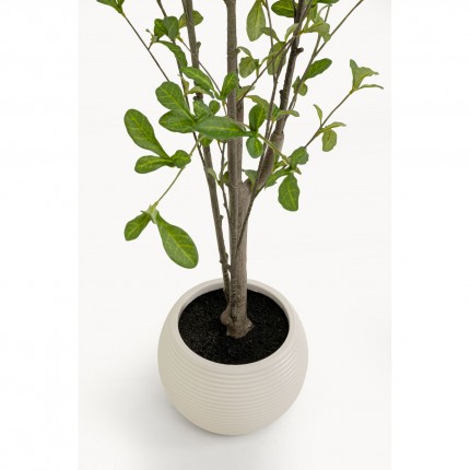 Plante décorative Plumbago 152cm Kare Design