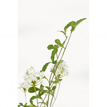 Plante décorative Plumbago 152cm Kare Design