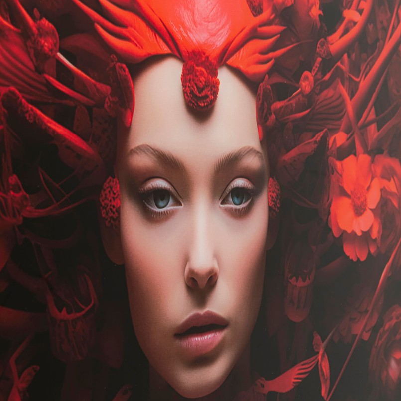 Glass Picture red muse 50x40cm Kare Design