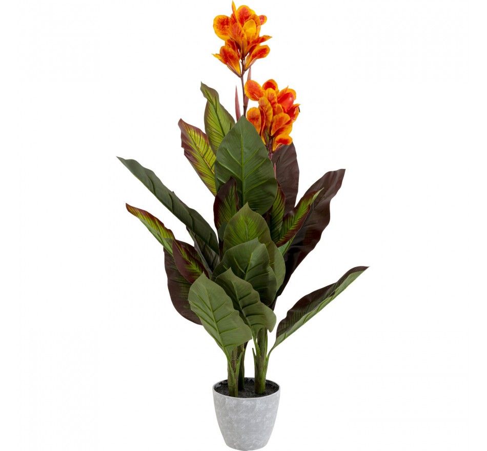 Deco Plant Canna Lily 115cm Kare Design