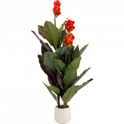 Deco Plant Canna Lily 165cm Kare Design