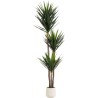 Plante décorative Yucca 250cm