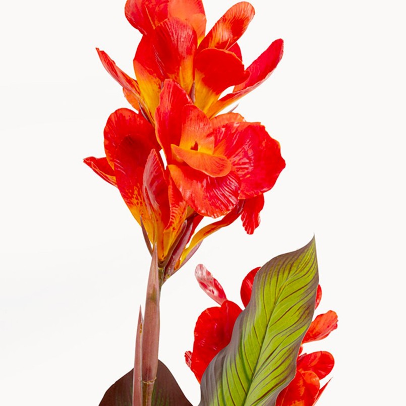 Deco Plant Canna Lily 165cm Kare Design