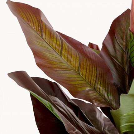 Deco Plant Canna Lily 165cm Kare Design