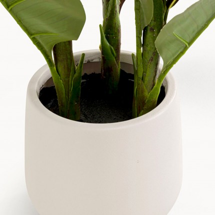 Plante décorative Canna Lily 165cm Kare Design