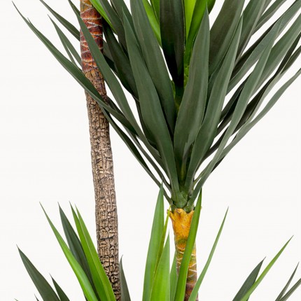 Plante décorative Yucca 250cm Kare Design