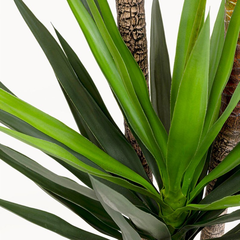 Deco Plant Yucca 250cm Kare Design