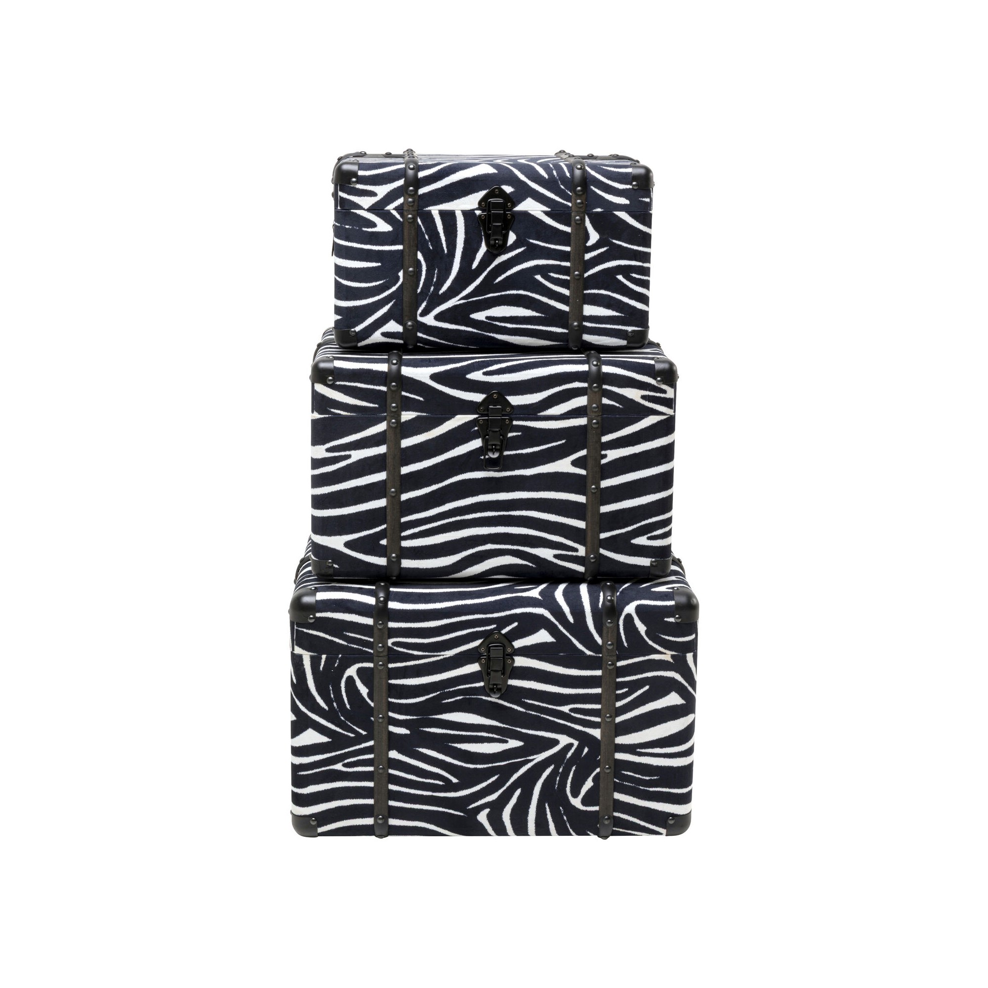 Coffre Wild Animal Zebra (3/Set)