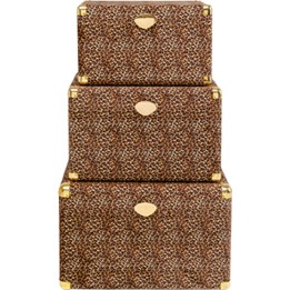 Coffre Wild Animal Leo (3/Set)