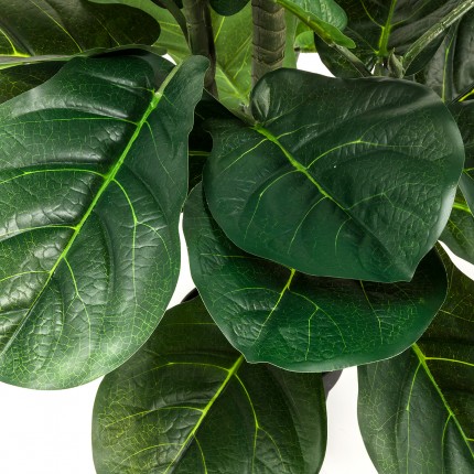 Deco Plant Ficus Lyrata 120cm Kare Design