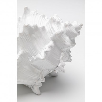 Déco coquillage blanc 19cm Kare Design