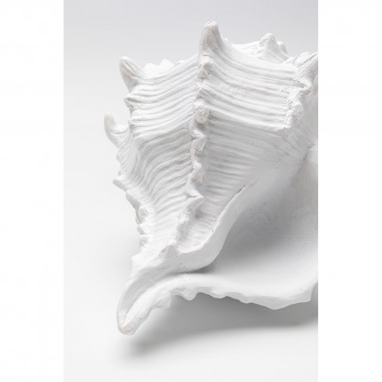 Déco coquillage blanc 19cm Kare Design