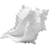 Déco coquillage blanc - Kare Design