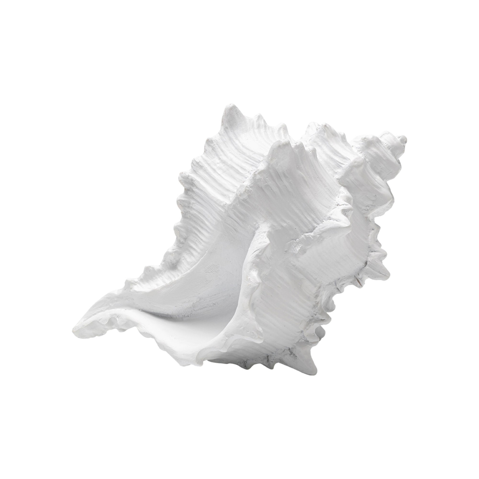 Déco coquillage blanc 19cm Kare Design