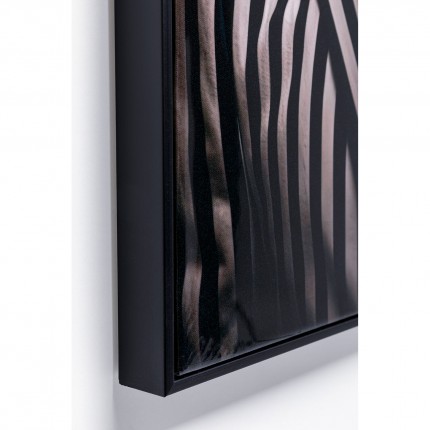 Canvas Picture mister zebra 50x70cm Kare design