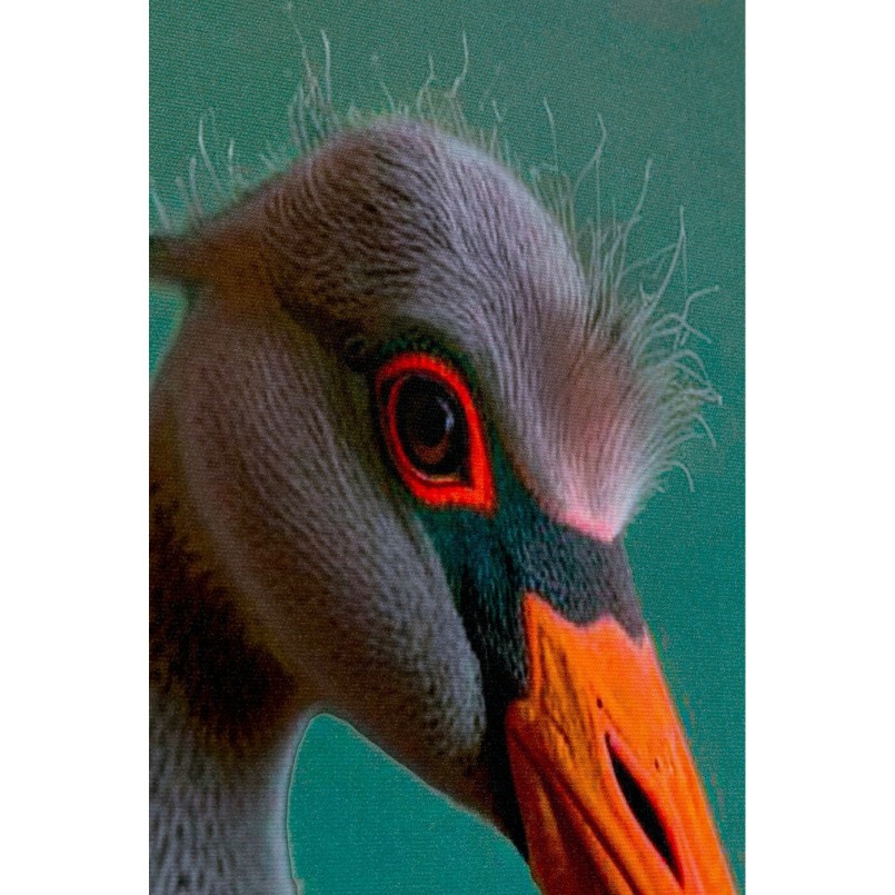 Tableau flamant rose en costume - Kare Design