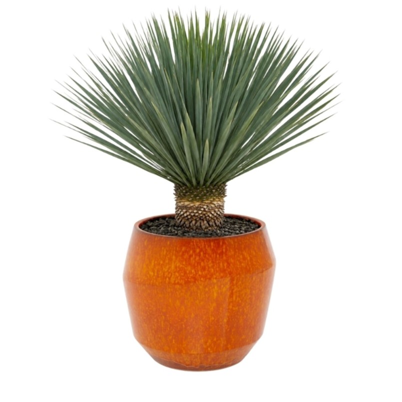 Vase Calli Belly rouge 39cm