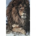 Tableau en verre Proud Lion 120x180cm Kare Design