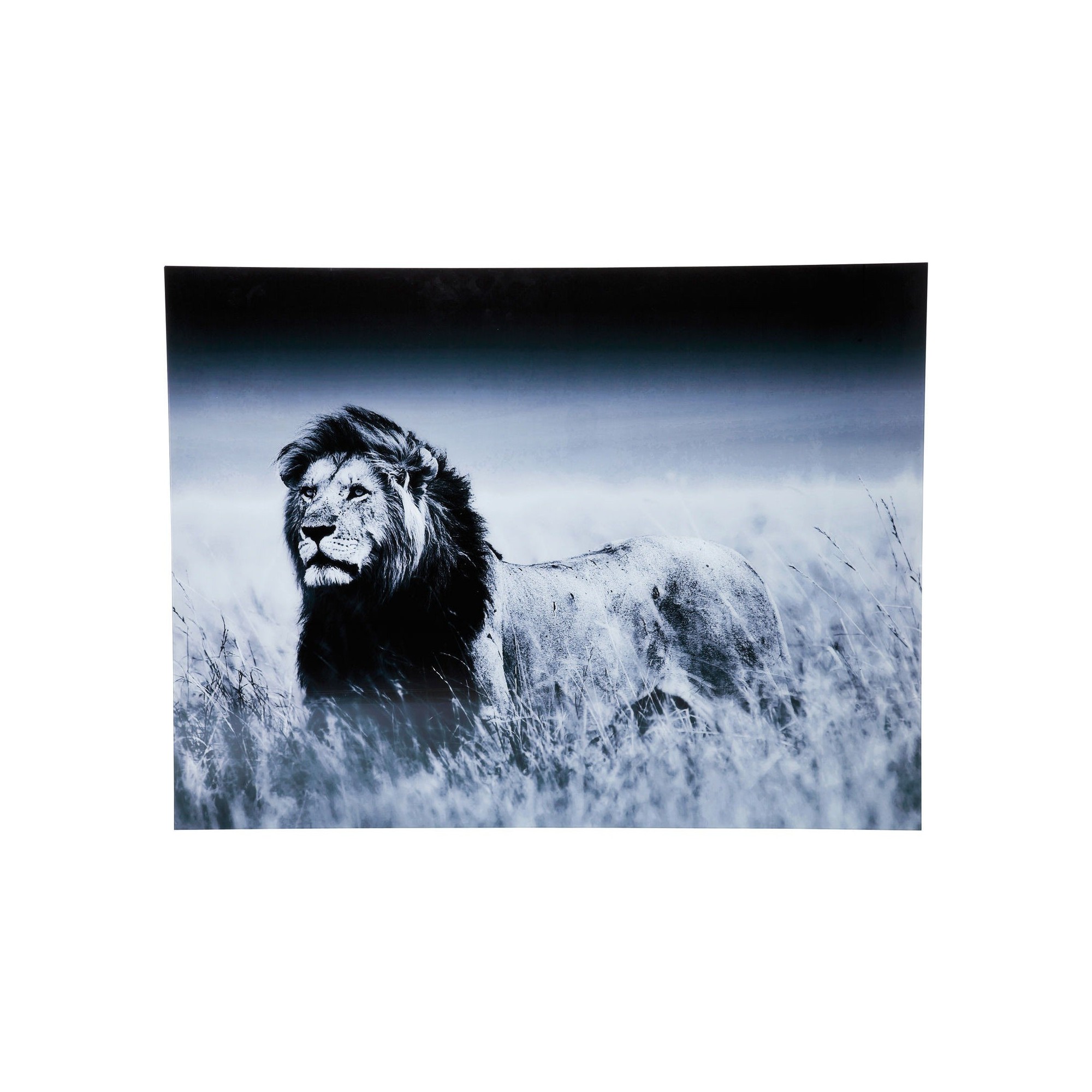 Tableau en Verre Lion King Standing 120x160 Kare Design