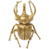 Wall Decoration Atlas Beetle Gold Kare Design
