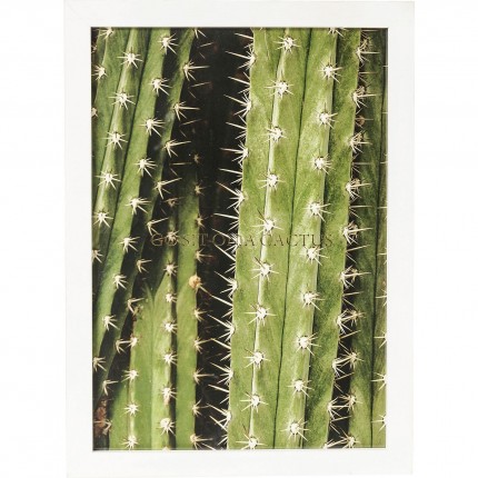 Affiche encadrée Cactus 33x45cm Kare Design