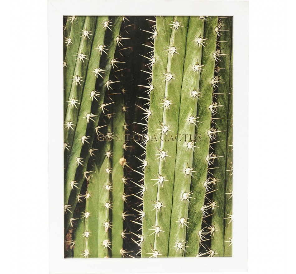Tableau Frame Cactus 45x33cm Kare Design