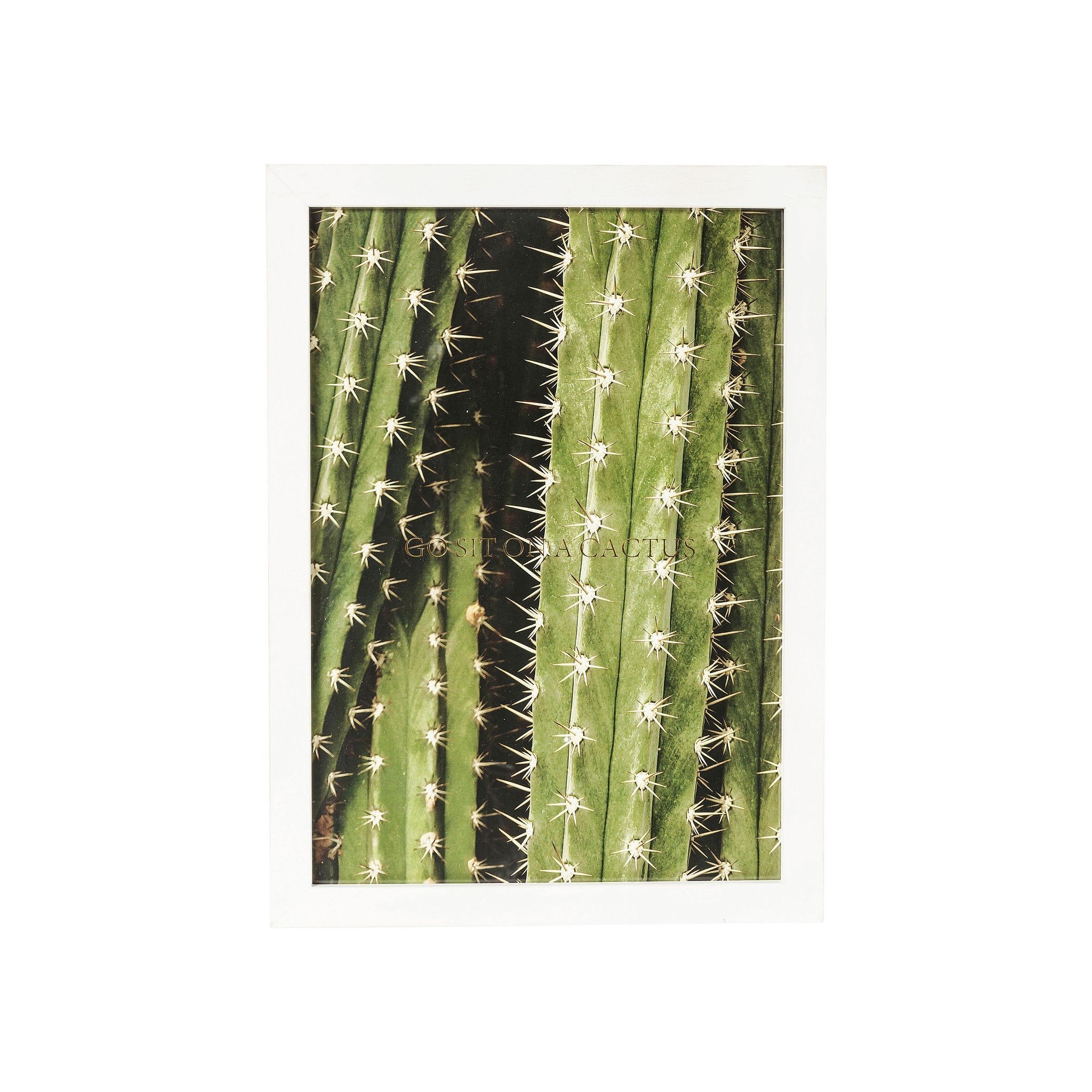 Tableau Frame Cactus 45x33cm Kare Design