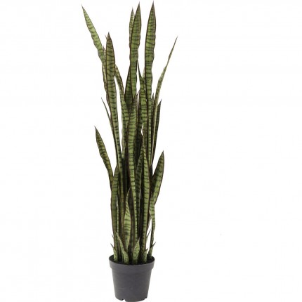 Plante décorative Sansevieria 155cm Kare Design