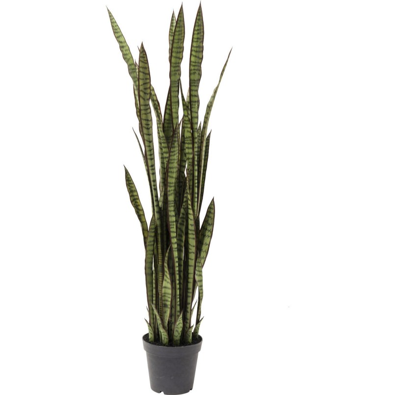 Deco Plant Sansewieria 155cm Kare Design