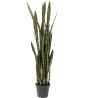 Deco Plant Sansewieria 155cm Kare Design