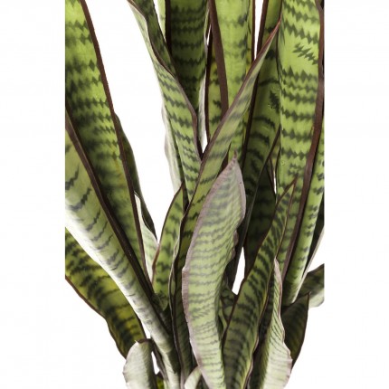 Plante décorative Sansevieria 155cm Kare Design