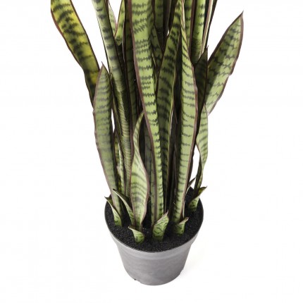 Plante décorative Sansevieria 155cm Kare Design