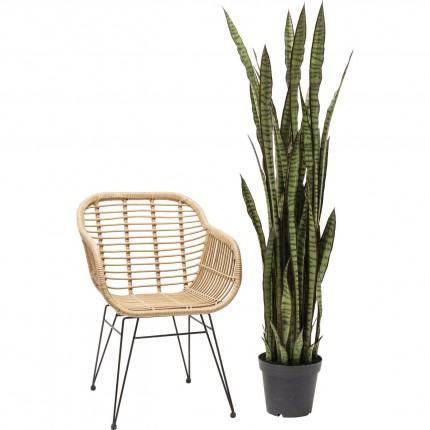 Plante décorative Sansevieria 155cm Kare Design