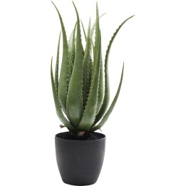 Deco Plant Aloe 69cm Kare Design