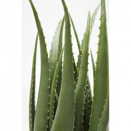 Plante décorative Aloe 69cm Kare Design