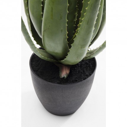 Plante décorative Aloe 69cm Kare Design