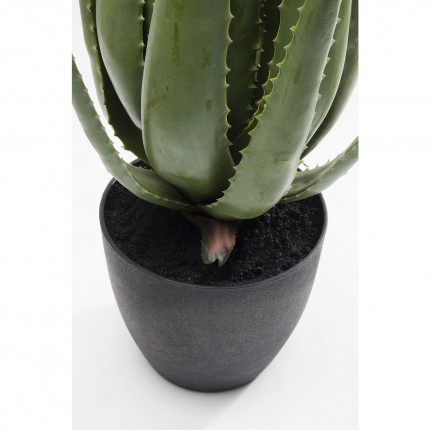 Plante décorative Aloe Kare Design