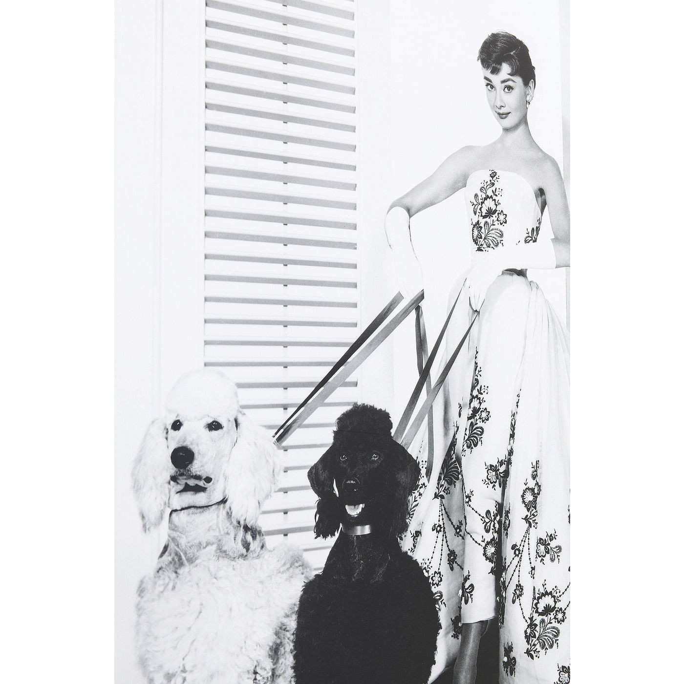 Tableau Frame Audrey chiens 90x120cm Kare Design