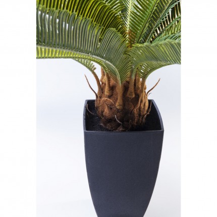 Plante décorative Cycas 78cm Kare Design