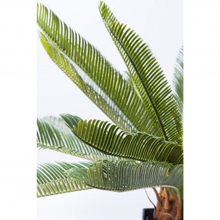 Plante décorative Cycas 78cm Kare Design