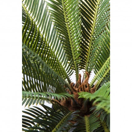 Plante décorative Cycas 78cm Kare Design