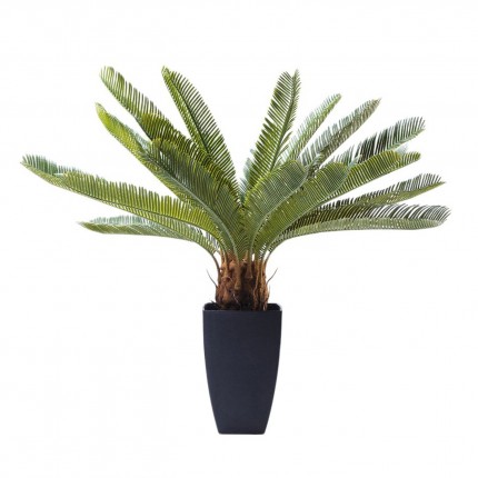 Plante décorative Cycas 78cm Kare Design