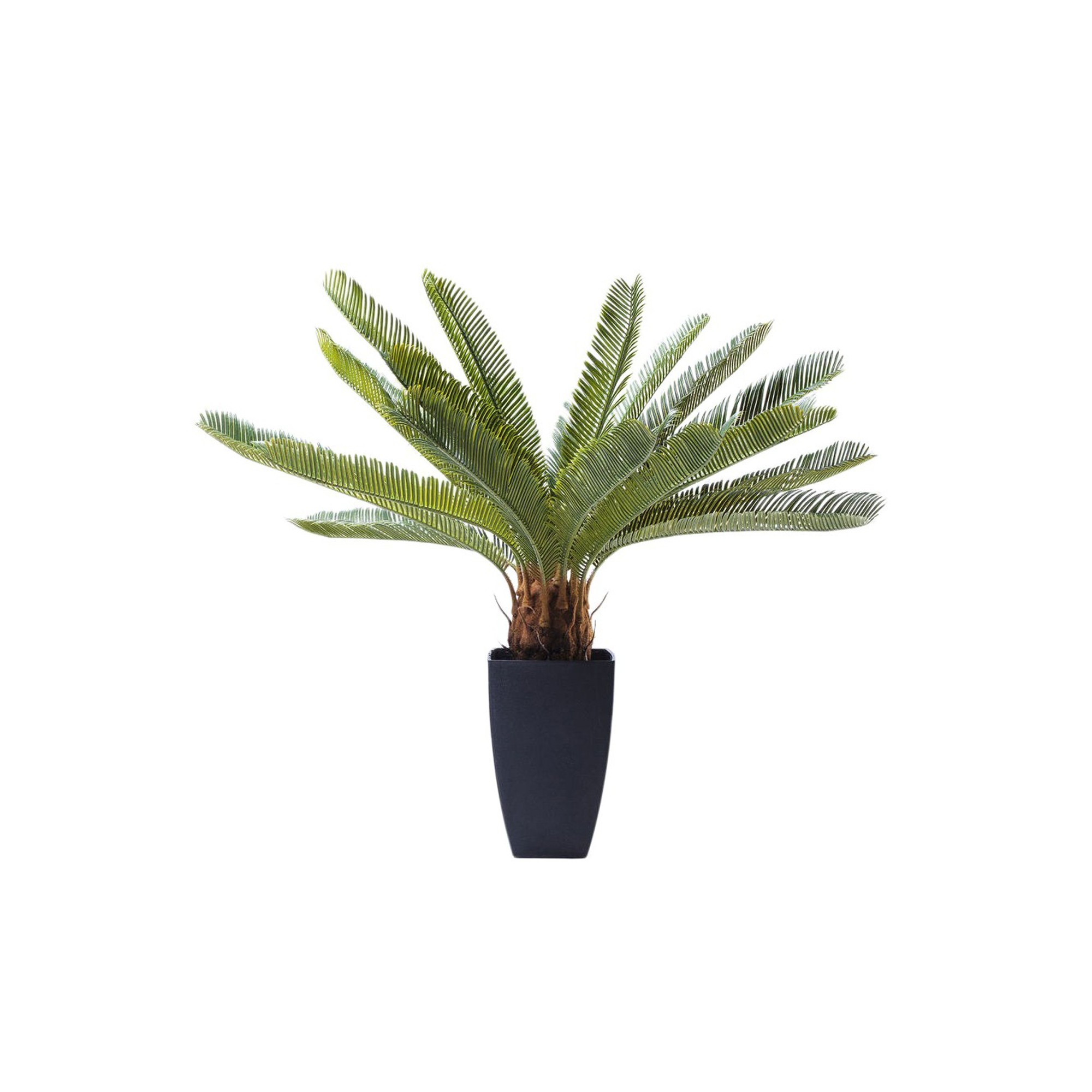 Plante décorative Cycas 78cm Kare Design