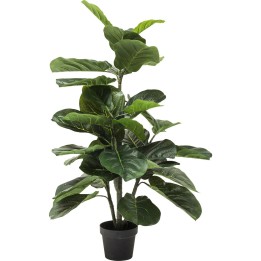Deco Plant  Fiddle Leaf 120cm Kare Design